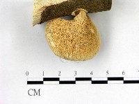 登錄號:F0003112藏品圖，第3張