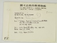 炭角菌屬藏品圖，第2張