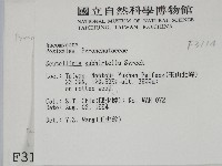 登錄號:F0003114藏品圖，第2張