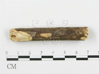 登錄號:F0003115藏品圖，第4張