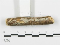 登錄號:F0003115藏品圖，第5張