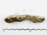 登錄號:F0003116藏品圖，第1張