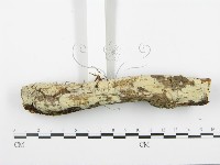 登錄號:F0003116藏品圖，第4張