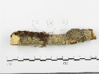 登錄號:F0003116藏品圖，第5張