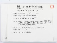 登錄號:F0003117藏品圖，第2張