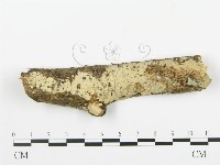 登錄號:F0003117藏品圖，第1張