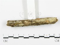 登錄號:F0003118藏品圖，第3張