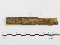 登錄號:F0003119藏品圖，第3張