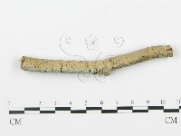 登錄號:F0003120藏品圖，第1張