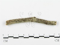 登錄號:F0003120藏品圖，第3張