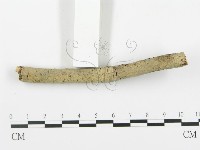 登錄號:F0003120藏品圖，第4張