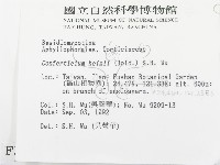 登錄號:F0003121藏品圖，第2張