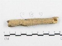 登錄號:F0003121藏品圖，第3張