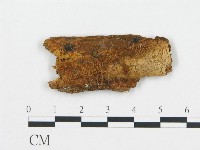 登錄號:F0003122藏品圖，第1張