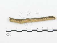 登錄號:F0003124藏品圖，第1張