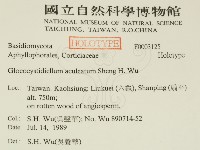 登錄號:F0003125藏品圖，第2張