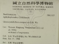 登錄號:F0003127藏品圖，第2張