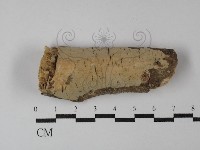 登錄號:F0003127藏品圖，第1張