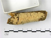 登錄號:F0003127藏品圖，第3張