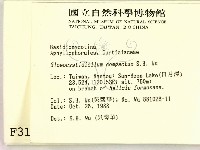 登錄號:F0003128藏品圖，第2張