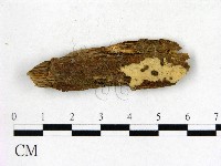 登錄號:F0003128藏品圖，第1張