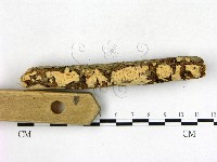 登錄號:F0003129藏品圖，第1張