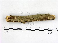 登錄號:F0003129藏品圖，第3張