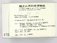 登錄號:F0003130藏品圖，第2張