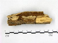 登錄號:F0003130藏品圖，第1張