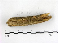 登錄號:F0003130藏品圖，第3張