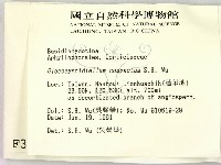 登錄號:F0003131藏品圖，第2張