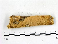 登錄號:F0003131藏品圖，第1張