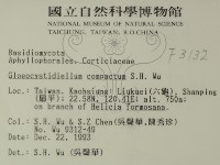 登錄號:F0003132藏品圖，第2張