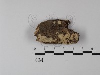 登錄號:F0003132藏品圖，第1張