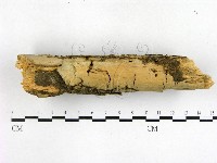 登錄號:F0003133藏品圖，第1張