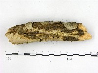 登錄號:F0003133藏品圖，第3張