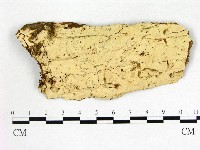 登錄號:F0003134藏品圖，第1張