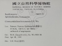 登錄號:F0003135藏品圖，第2張