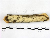 登錄號:F0003136藏品圖，第1張