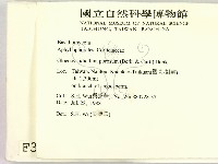 登錄號:F0003137藏品圖，第2張
