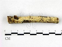 登錄號:F0003137藏品圖，第3張