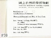 登錄號:F0003139藏品圖，第2張