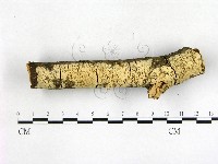 登錄號:F0003139藏品圖，第1張