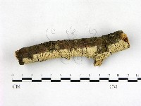 登錄號:F0003139藏品圖，第3張