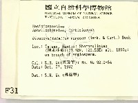 登錄號:F0003140藏品圖，第2張