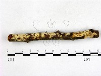 登錄號:F0003140藏品圖，第3張