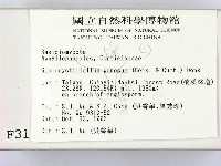 登錄號:F0003142藏品圖，第2張