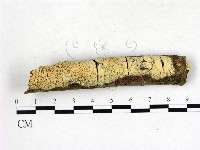 登錄號:F0003143藏品圖，第1張