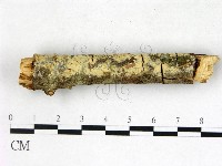 登錄號:F0003148藏品圖，第3張