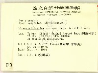 登錄號:F0003149藏品圖，第2張